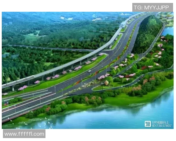 成都篮球队转型之路的纪实记录与未来展望