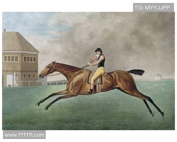 探索足球步态对运动表现和技术提升的影响与应用研究